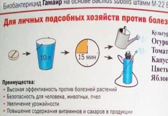 Био бактерицид гамаир отзывы