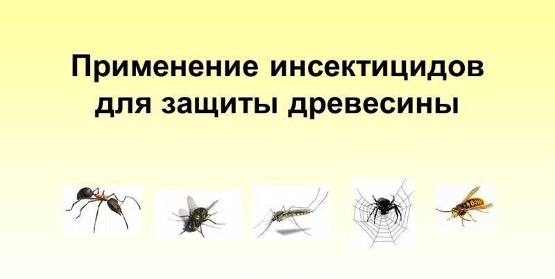 Средства для борьбы с бытовыми насекомыми