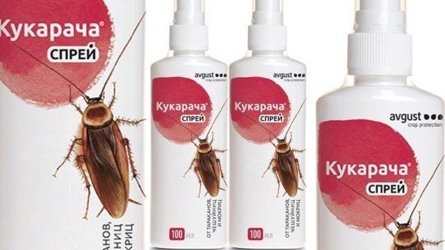 Кукарача от тараканов — действие, эффективность, меры безопасности