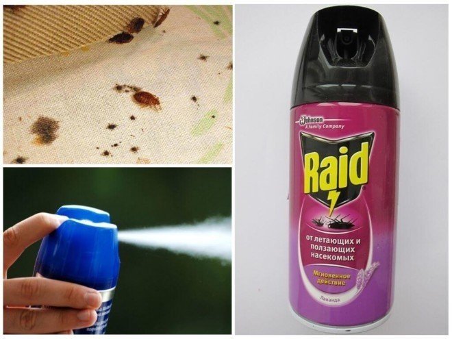 Аэрозоль raid от ползающих и летающих насекомых с запахом лаванды