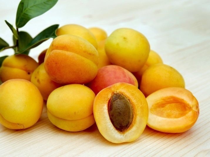 Персик абрикос нектарин отличие