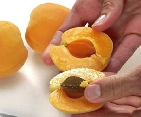 Персики курага абрикос