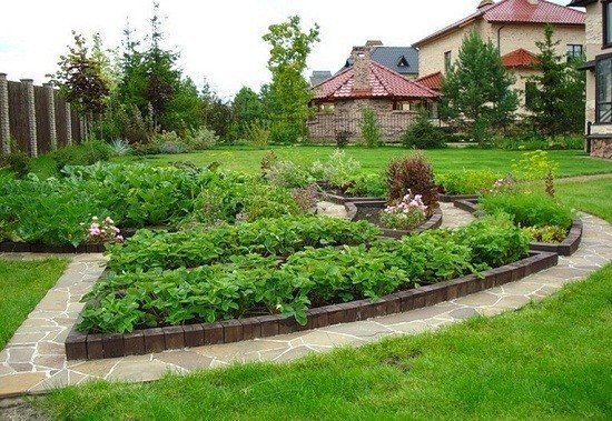 Ландшафт участка с огородом и садом