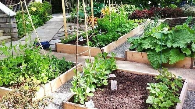 Как обустроить красивый огород на приусадебном участке