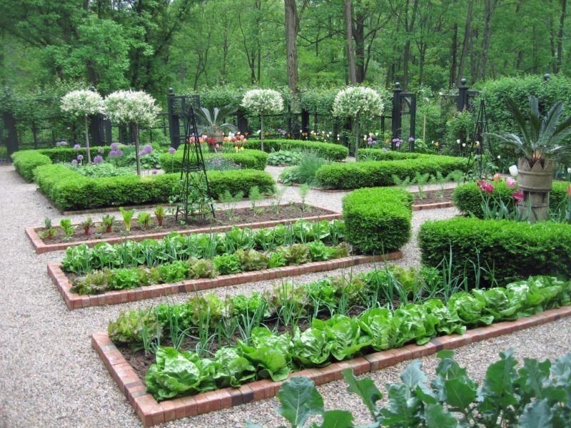 Декоративный огород в регулярном стиле