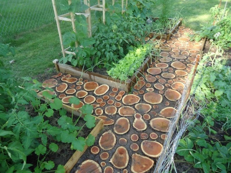Дорожка из дерева для сада и огорода своими