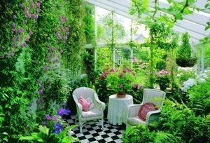 Зимний сад в частном доме