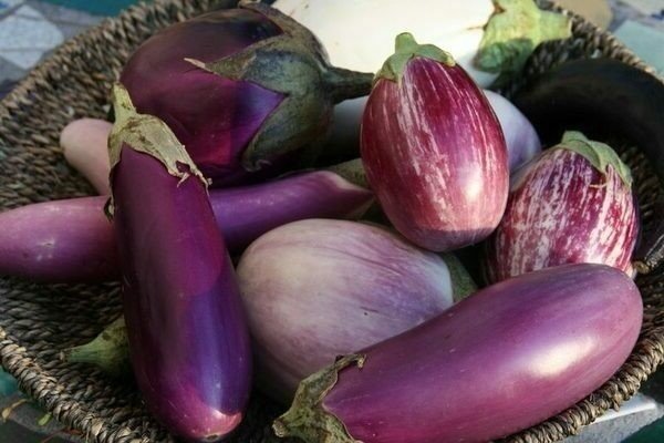 Темно фиолетовый овощ