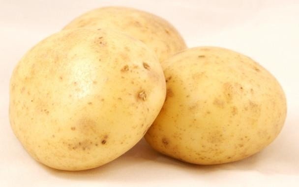Сорт картофеля примабель
