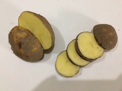 Картофель колобок скарлет
