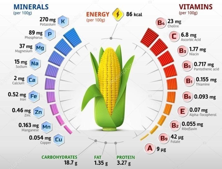 Кукуруза витамины и минералы