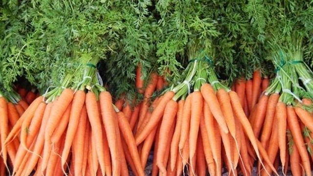 Посадка моркови: как сажать семенами в открытый грунт весной, хитрости посева и как сделать, чтобы быстро взошла