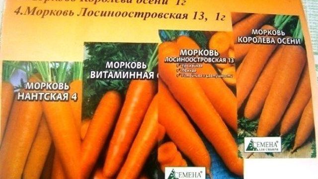 Посадка моркови под зиму – ранний урожай обеспечен