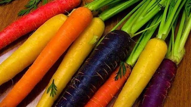 Сорта моркови: описание и общие характеристики