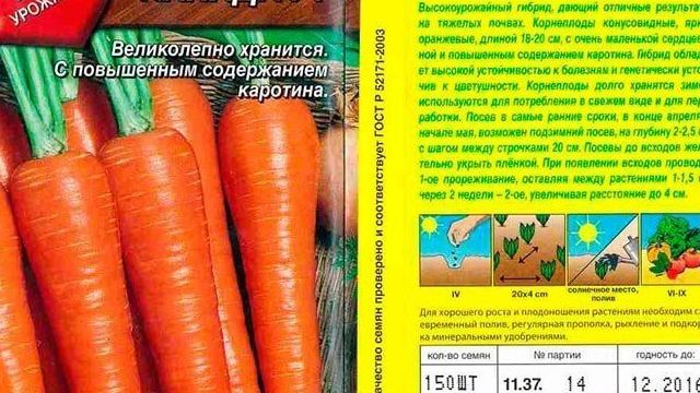 Морковь канада F1: описание и характеристика сорта, фото