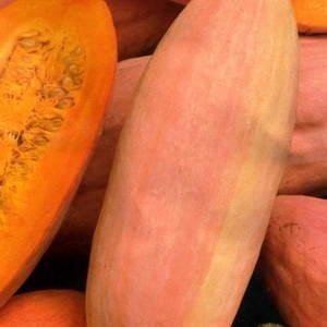 Тыква крупноплодная румяная папайя
