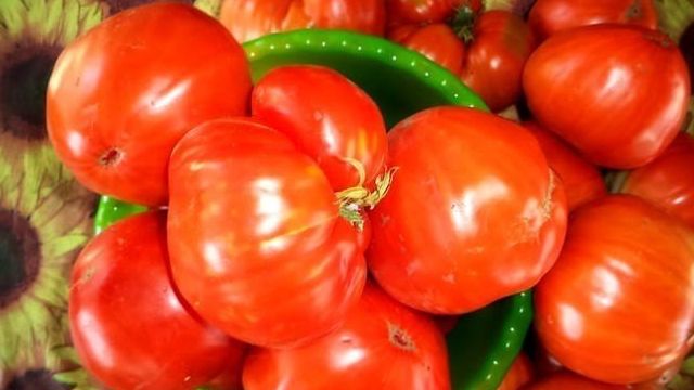 Консервация помидоров: как выбрать подходящие сорта