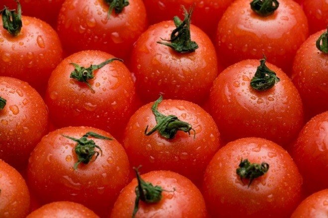 Сочные красные помидоры