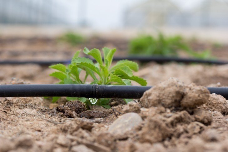 Капельное орошение drip irrigation fertigation