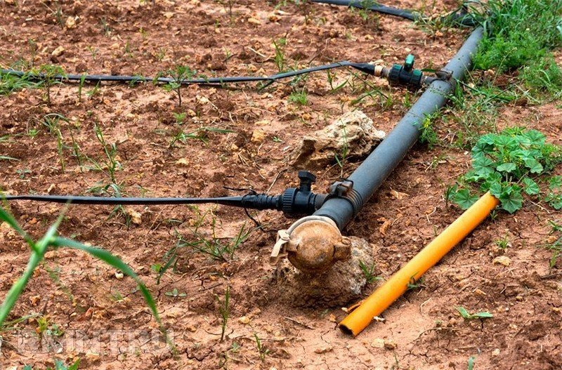 Капельное орошение drip irrigation fertigation