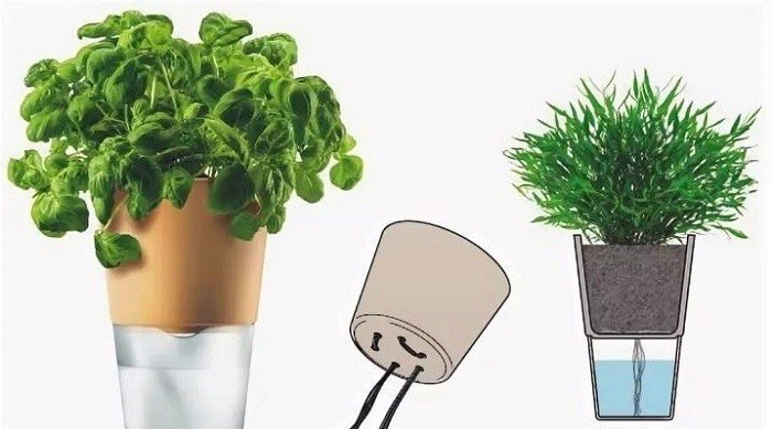 Фитильная система полива комнатных растений