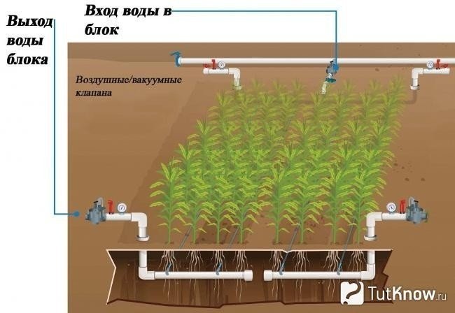 Система капельного полива гидропоника