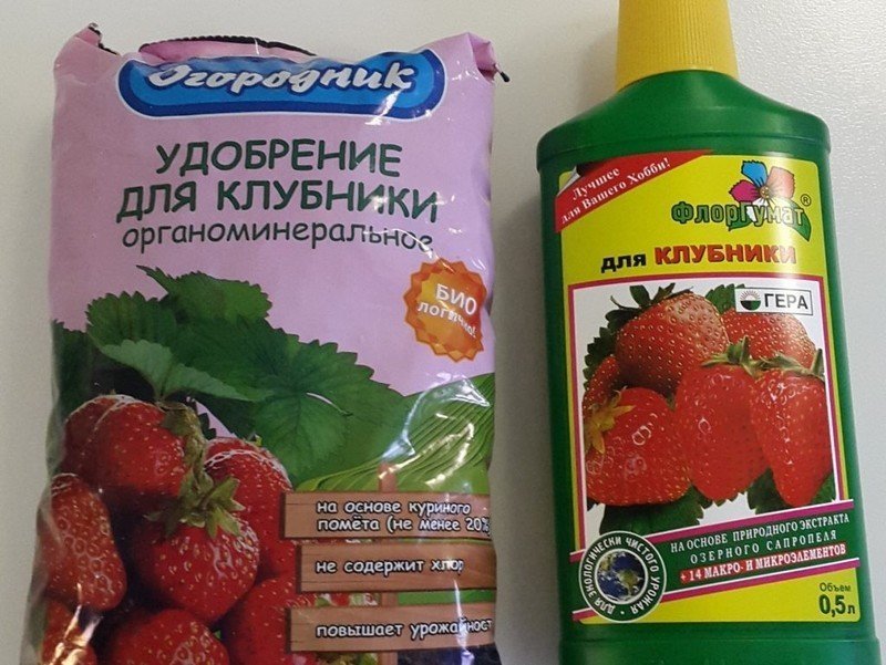 Удобрение флоргумат для клубники