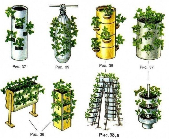 Вертикальная грядка для клубники ремонтантной