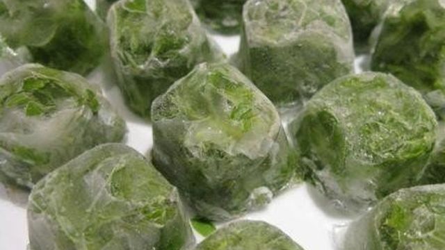 Как сохранить зеленый лук свежим в холодильнике