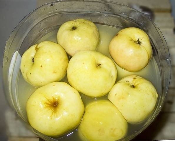 Моченые яблоки антоновка