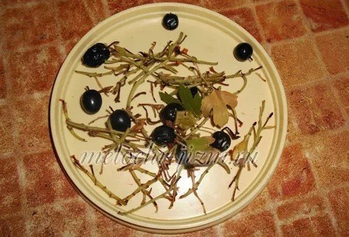 Салат с оливками простой и быстрый
